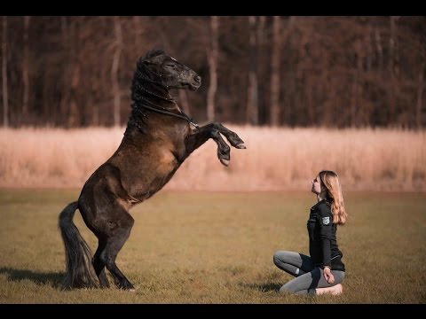 Unsere Antworten // Unser Traum... mit Lenny Shows zu geben !! // Lina hatte Angst vor Pferden //