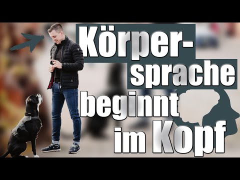 Hunde körpersprachlich führen - das Mindset muss stimmen! Hundetrainer Steve Kaye