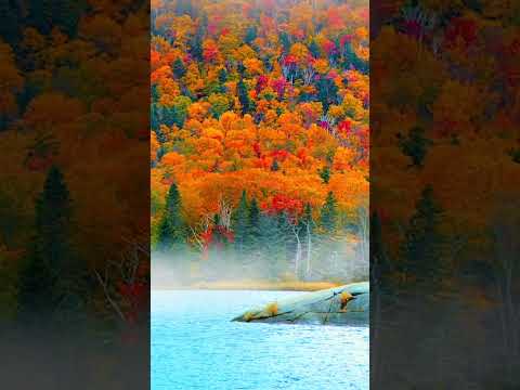 Autumn in New England 2023  #nature #autumn #newengland #soothingmusicforrelaxing  #relax