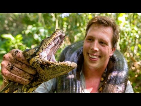 Freeks wilde wereld  Anaconda Mimosaplant