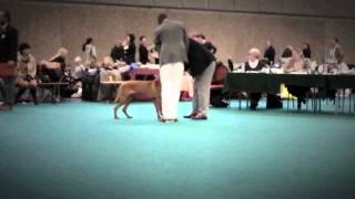 Mokka @ Amsterdam Winner