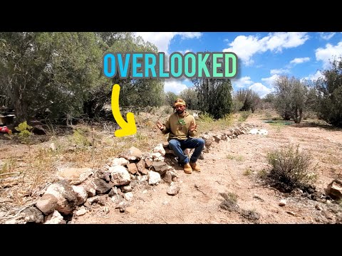 The Backward Approach To Starting On Land