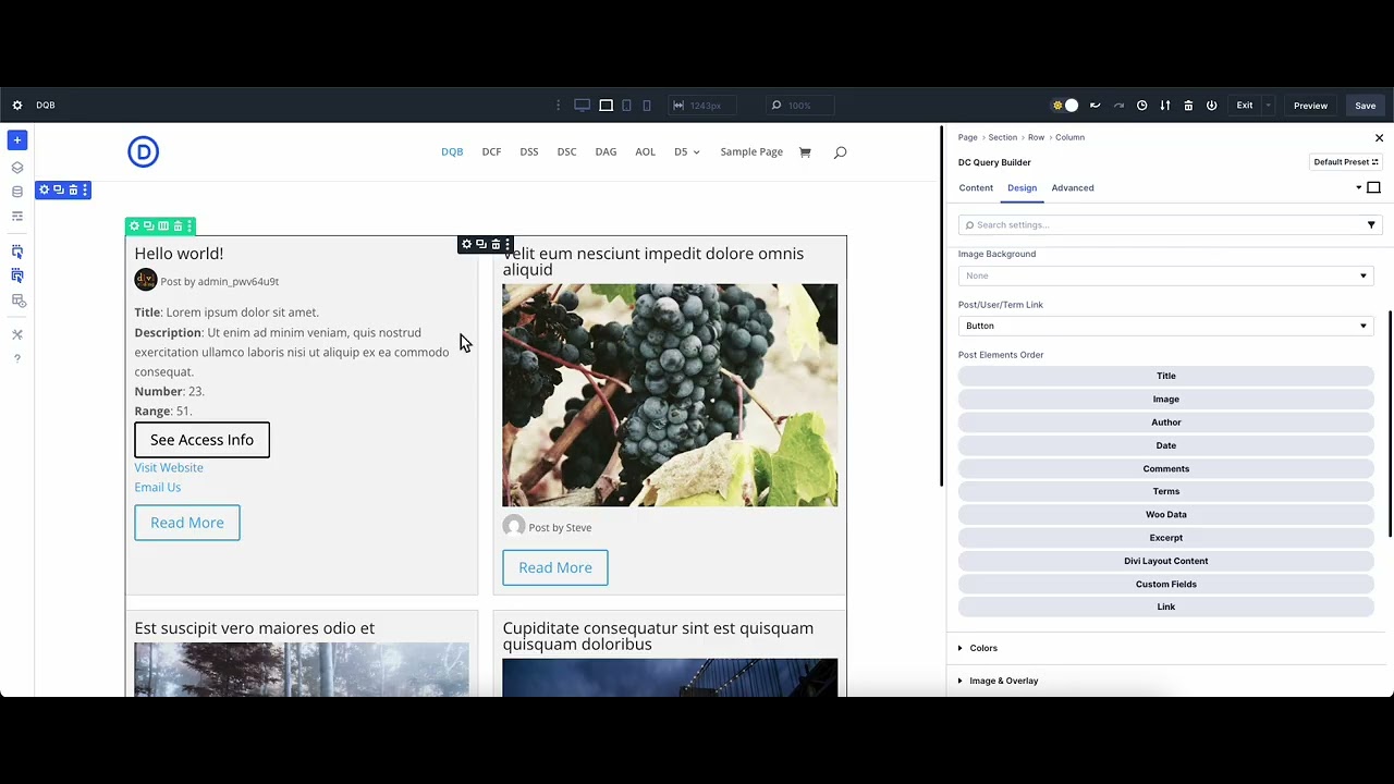 How To Display ACF Basic Fields on Divi Query Builder Loop