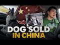 Famous Dog Pickaxe Sold In China