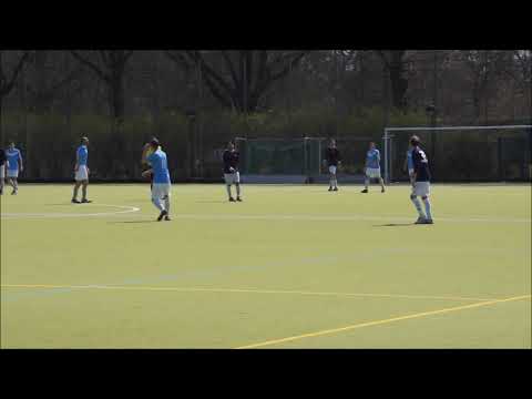 Britische Löwen  CSV NG 2-5