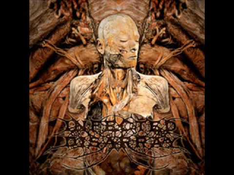 Infected Disarray - The Opening To Her Torso