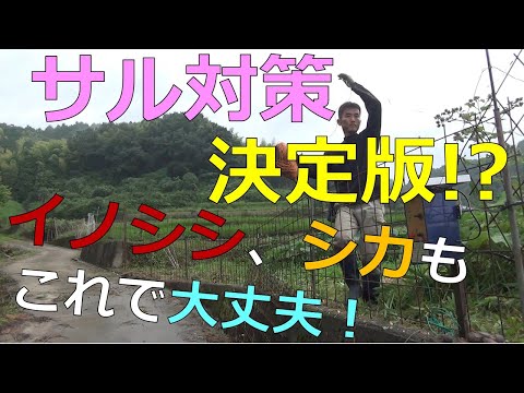 園芸 猿の絶望