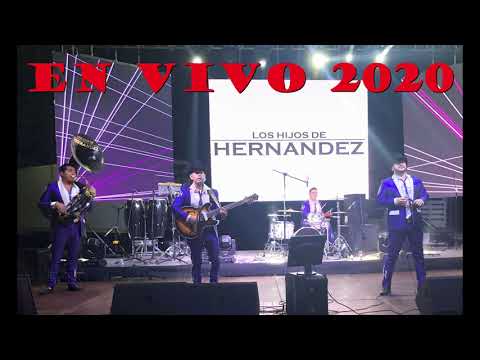 disco en vivo 2020 los hijos de hernandez