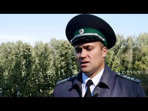 Экспертное мнение. Выпуск 47. 15.09.2021