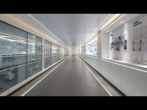 👀 Inside Our Factory: Watch Packaging Come to Life!