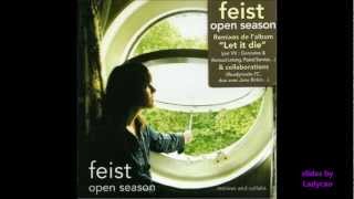 when I was a young girl-feist(VV REMIX )