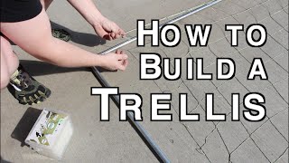 How to Build an Trellis using Electrical Conduit Simple and Cheap