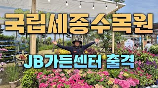 국립세종수목원 축제마당에 JB가든센터가 초대받았습니다~! 딱 4일간의 행사!