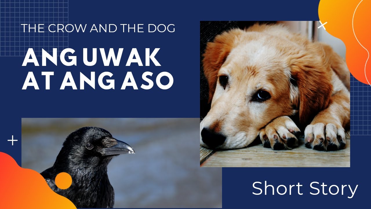 Ang Uwak at Ang Aso / The Crow and The Dog | Basic English-Tagalog - Educational / Fable / Pabula