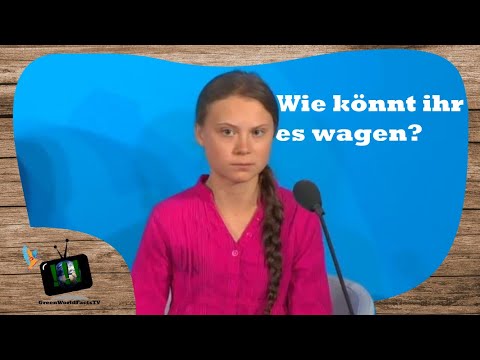 "Wie könnt ihr es wagen?"  Greta Thunberg kritisiert Politiker massiv / GWFTV Nachrichten