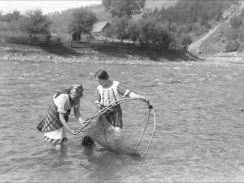 Plutăritul în Bucovina   - istoric