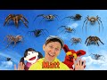 Spiders What Do You See Song Find It Version Dream English Kids