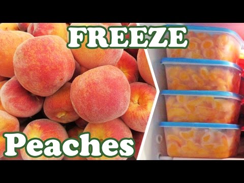 download lagu mp3 mp4 How Long Are Frozen Peaches Good For, download lagu How Long Are Frozen Peaches Good For gratis, unduh video klip How Long Are Frozen Peaches Good For