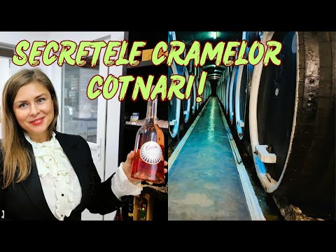 RAIUL vinului românesc! Tur complet la Cramele Cotnari. 1000 de euro,  cea mai veche sticlă de vin !