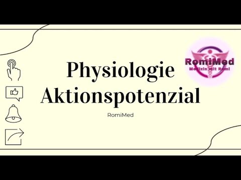 Physiologie: Aktionspotenzial