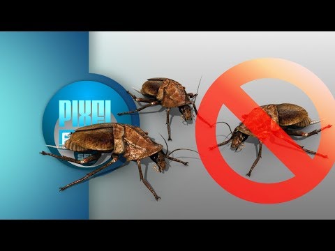 Anti Roaches Invasion Ultrasonic Sound Stop Beetle Insects How to get rid of Cockroach Forever