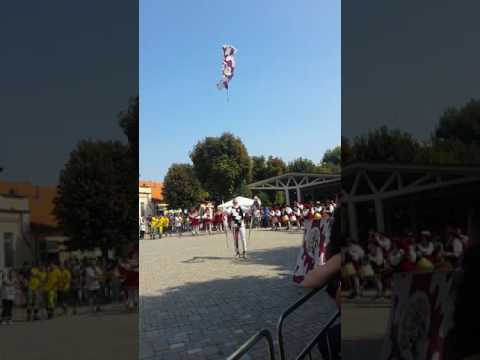 Tenzone Aurea Bra 2016 Eliminatorie Singolo Querceta - Cocci