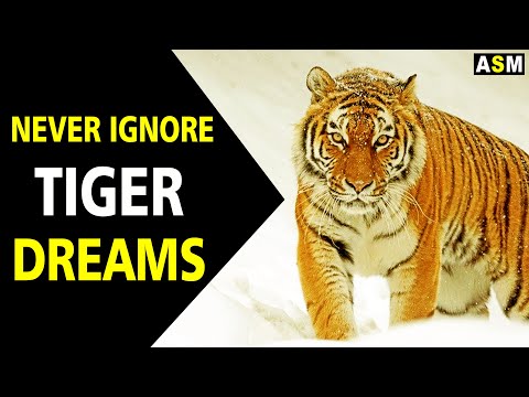 What does tiger dream meaning | Dream interpretation | dreaming of tiger |