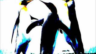 Keep a cool head - Reelbigfish