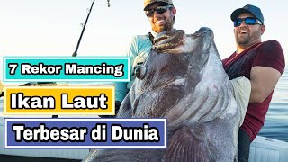 Download lagu 7 REKOR MANCING IKAN LAUT TERBESAR DI DUNIA mp3