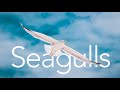 Seagulls | Sound Effect (Copyright Free)