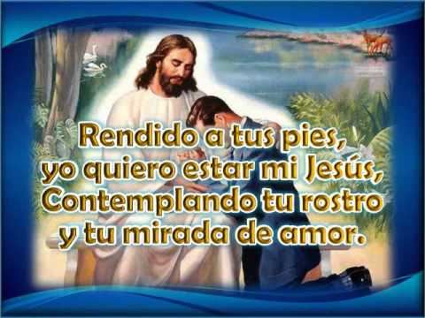 Rendido A Tus Pies video