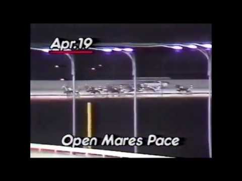 1987 Mohawk Raceway Open Mares Pace Dead Heat