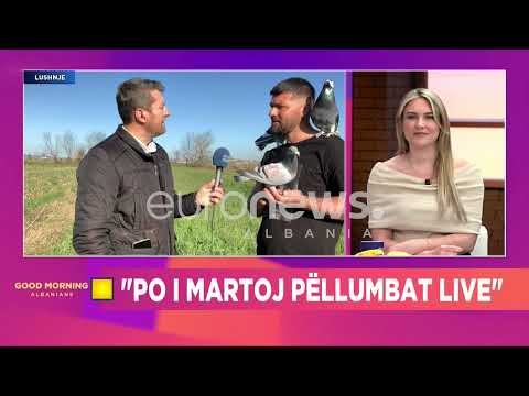 33-vjeçari lushnjar: pëllumbat i kam quajtur Tornado, Cunami dhe Tajson