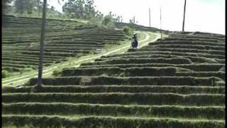 preview picture of video 'Desa Binangun - Gombong.mp4'