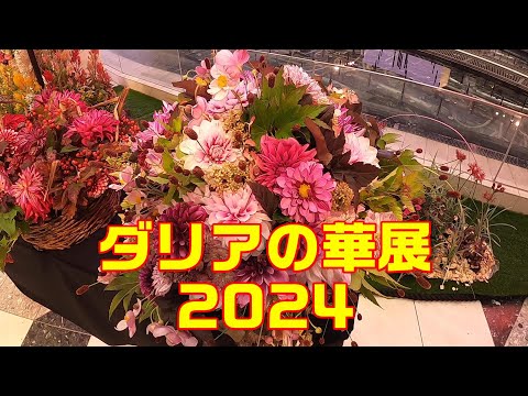  2024 年にラズベリーの吸盤を植えるのに最適な時期はいつですか?春にこれらの低木を移植するにはどうすればよいですか？  庭園