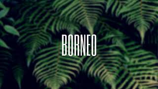 Gris - Borneo