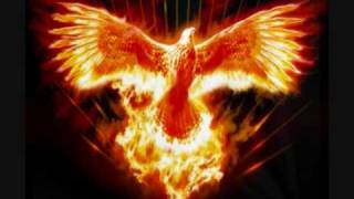 Sin miedo a perder.wmv