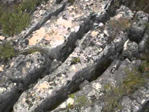 Synthesis  Vo nashe selo