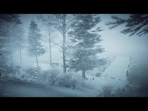 Intense Winter Storm at the Lake┇Howling Wind & Blowing Snow ┇Sounds for Sleep, Study & Relaxation