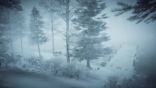 Intense Winter Storm at the Lake┇Howling Wind &amp; Blowing Snow ┇Sounds for Sleep, Study &amp; Relaxation