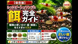 餌の完全ガイド解説動画