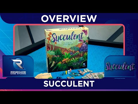 Overview - Succulent