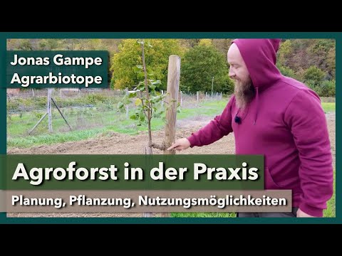 Agroforst - Planung, Pflanzung, Nutzung | Jonas Gampe & Agrarbiotope | Rundgang 6 | 2023