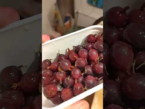 Hyvii karviaisii 5/5👍🏻