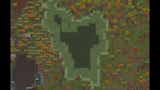 Video 4