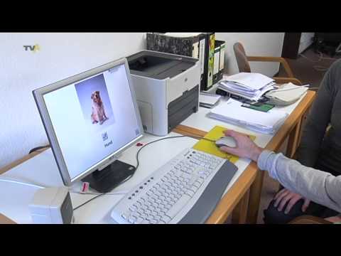 Hilfe bei der Entzündung des Großzehengrundgelenks Von zervikothorakalen Osteochondrose Kopfschmerzen