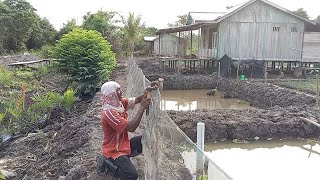 Download lagu CARA PAK WANI AMANKAN KOLAM DARI SERANGAN BERANG-BERANG, BIAWAK DAN ULAR! KELUARGA WANI RANTAU mp3 Download lagu CARA PAK WANI AMANKAN KOLAM DARI SERANGAN BERANG-BERANG, BIAWAK DAN ULAR! KELUARGA WANI RANTAU mp3