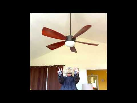 [FREE FOR PROFIT] Glaive x Brakence Hyperpop Type Beat - "disaster"