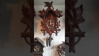 Cuckoo clock with music #cuckoo #shorts #real #clock #cuckooclock #clockschange #pendulumclock
