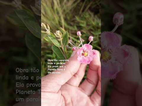 GOUVEIA/MG: Belezas Naturais #belezasnaturais #cerradomineiro #gouveiamg